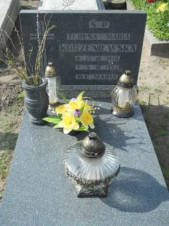 Zdjęcie grobu 20/291