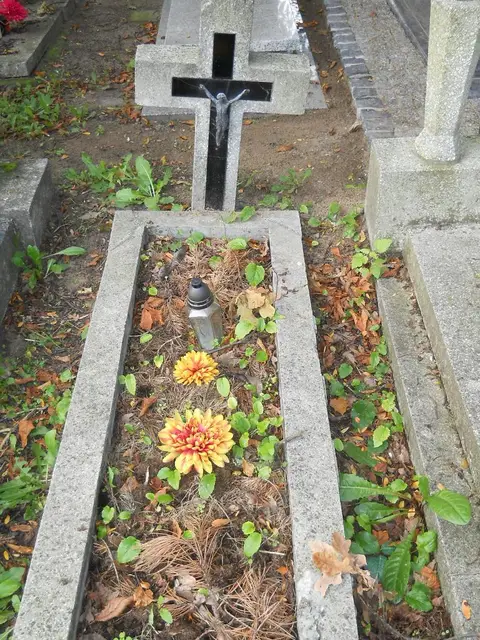 Zdjęcie grobu 14/27073