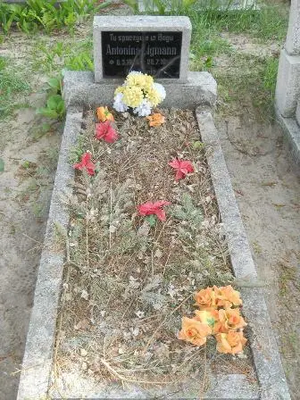 Zdjęcie grobu 20/100