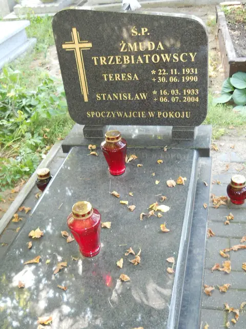 Zdjęcie grobu 14/27250