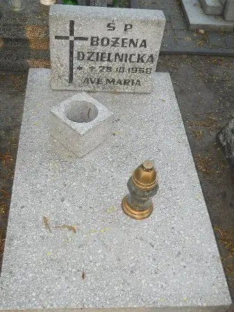 Zdjęcie grobu 7b/100