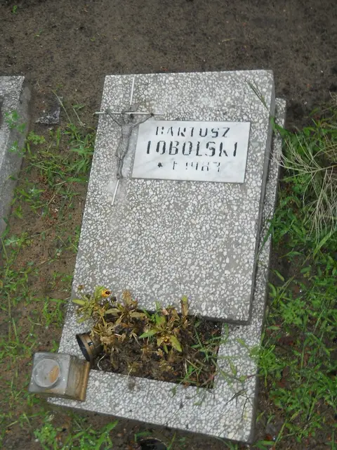 Zdjęcie grobu 21/23936