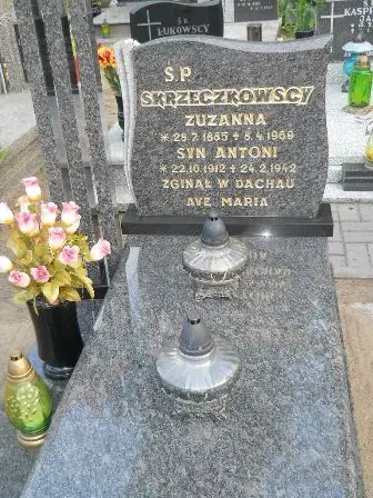 Zdjęcie grobu 37/107