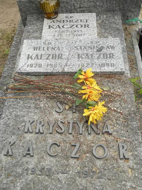 Zdjęcie grobu 7/11093