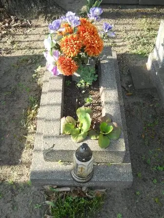 Zdjęcie grobu 7/100