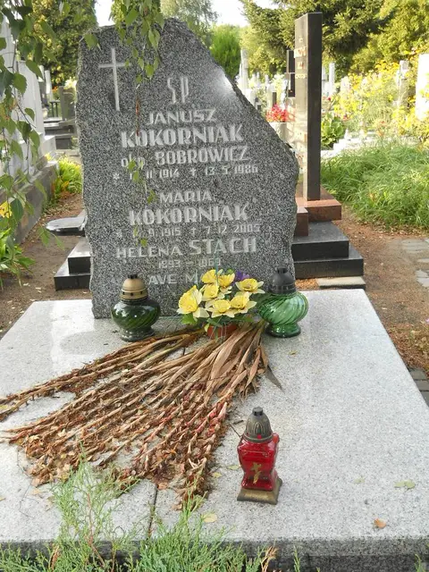 Zdjęcie grobu B/25734