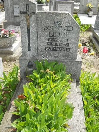 Zdjęcie grobu 25s/89