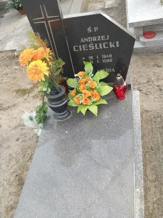 Zdjęcie grobu 15/117