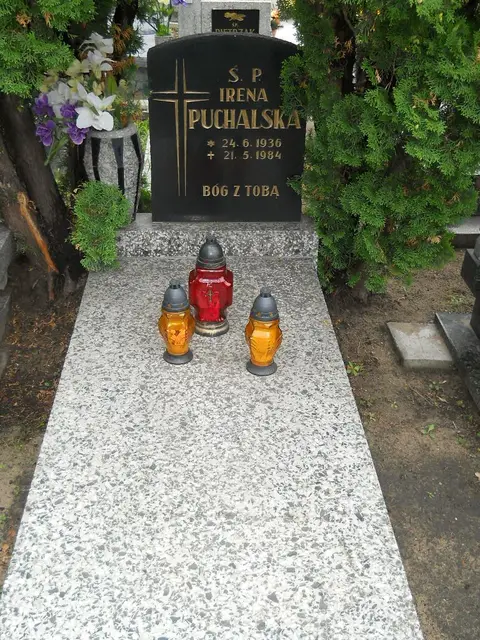 Zdjęcie grobu 24/23379