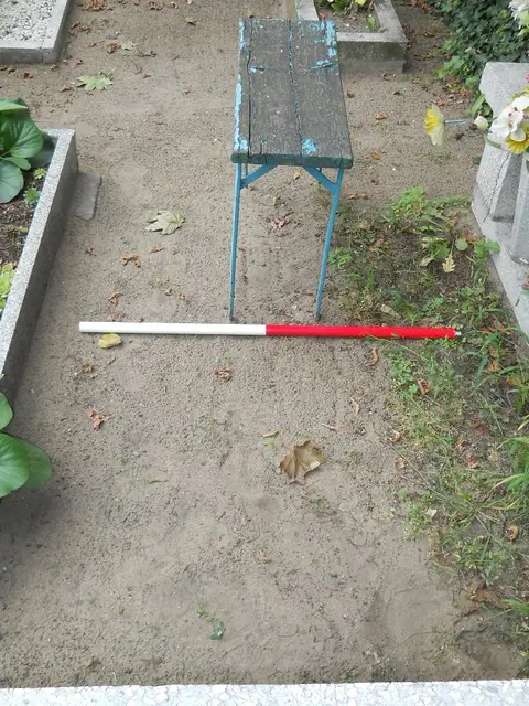 Zdjęcie grobu 13/29677