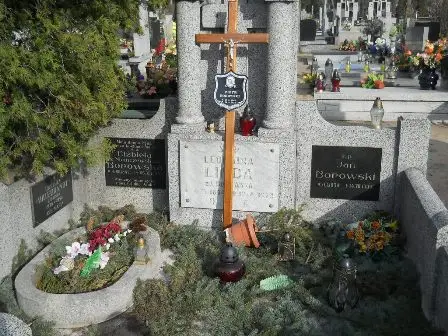 Zdjęcie grobu 100