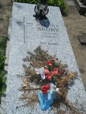 Zdjęcie grobu 11/282