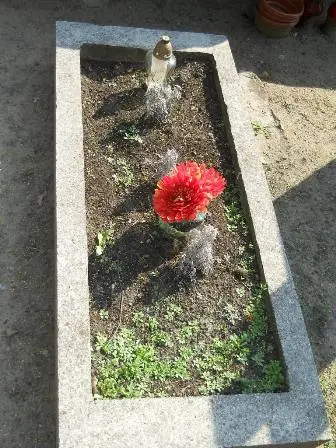 Zdjęcie grobu 29/80