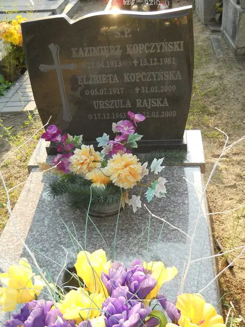 Zdjęcie grobu 14/27867