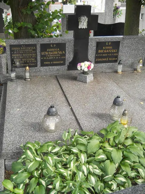 Zdjęcie grobu 9/24453
