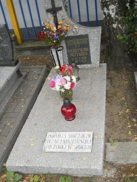 Zdjęcie grobu 14/25995