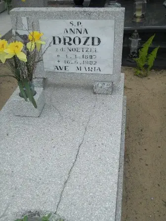 Zdjęcie grobu 43/131