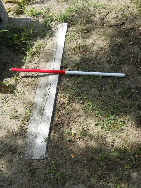 Zdjęcie grobu 6/24373