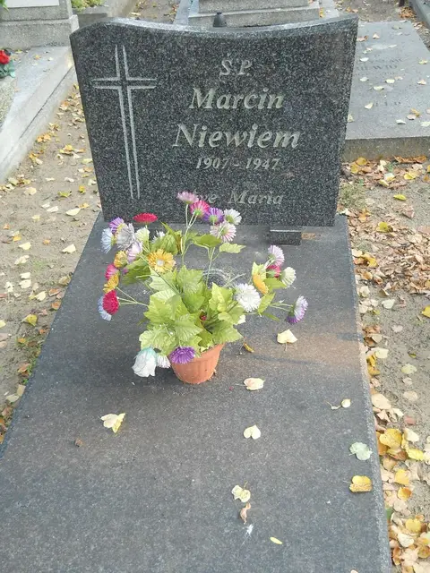 Zdjęcie grobu 15/26835