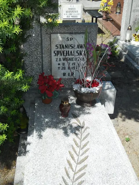 Zdjęcie grobu 8A/10262