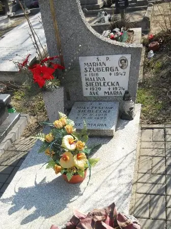 Zdjęcie grobu 3/174