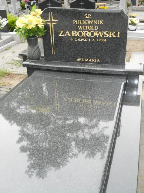Zdjęcie grobu 7/11198
