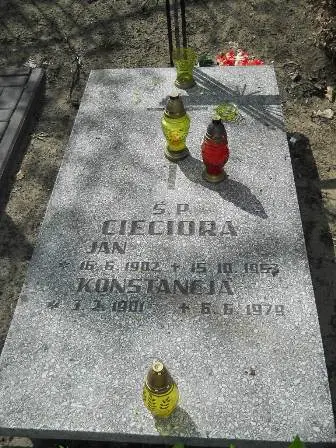Zdjęcie grobu 27a/130