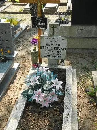 Zdjęcie grobu 30/142