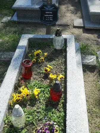 Zdjęcie grobu 26/100