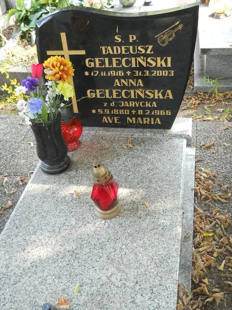 Zdjęcie grobu 15/26613