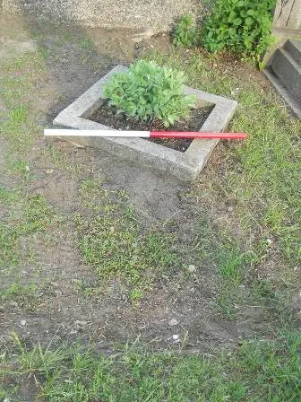 Zdjęcie grobu 44/100