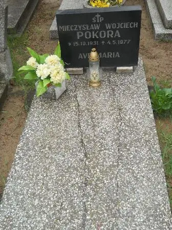 Zdjęcie grobu 36/214
