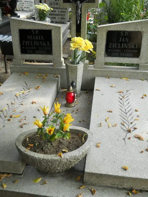 Zdjęcie grobu 15/26572