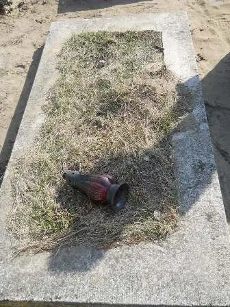 Zdjęcie grobu 5/100