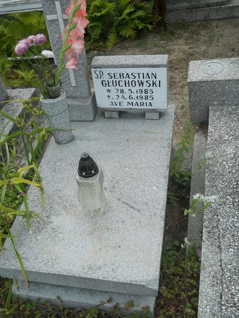 Zdjęcie grobu 9/24546
