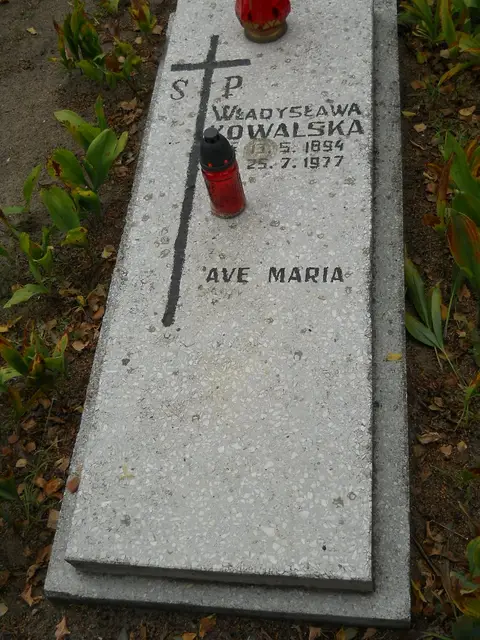 Zdjęcie grobu 16/26028