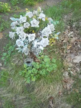 Zdjęcie grobu 7b/100