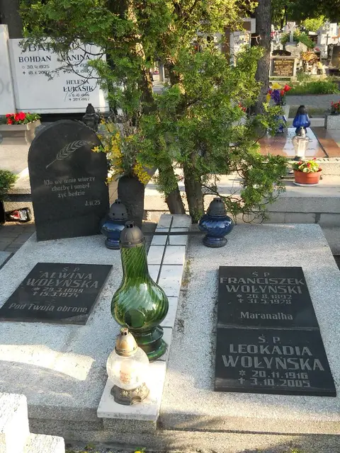 Zdjęcie grobu C/12129