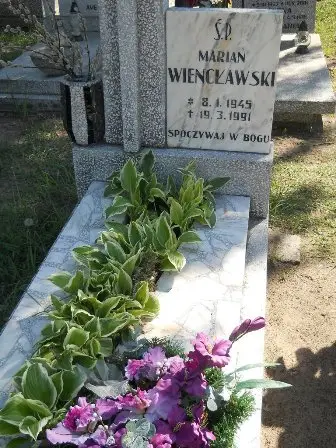 Zdjęcie grobu 46/220