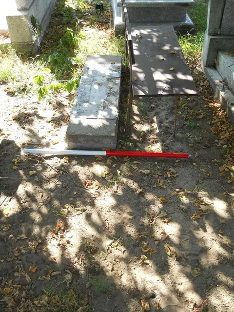 Zdjęcie grobu 14/27252