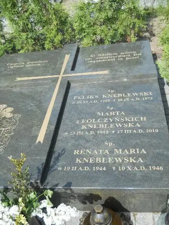 Zdjęcie grobu D/71,71a