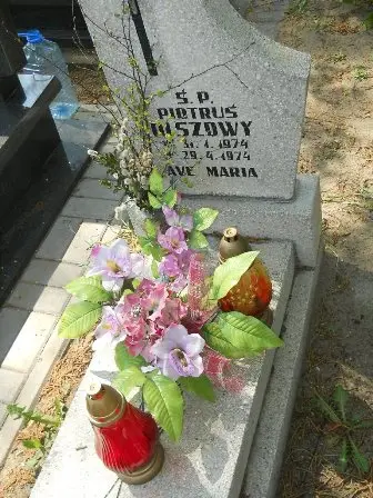 Zdjęcie grobu Ha/156a
