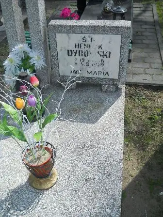 Zdjęcie grobu 25s/213