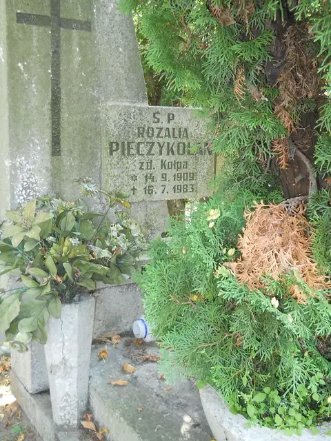 Zdjęcie grobu 19/28556