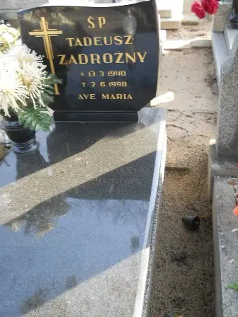 Zdjęcie grobu 6a/7,8