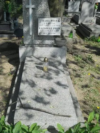 Zdjęcie grobu 11/100