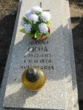 Zdjęcie grobu 4/565