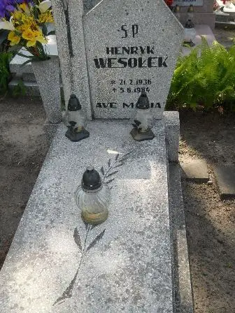 Zdjęcie grobu 25/138