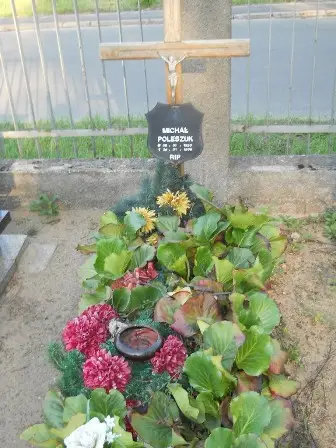 Zdjęcie grobu 32/100