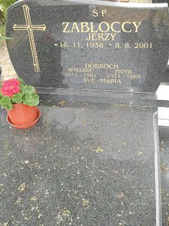 Zdjęcie grobu 20/592,593